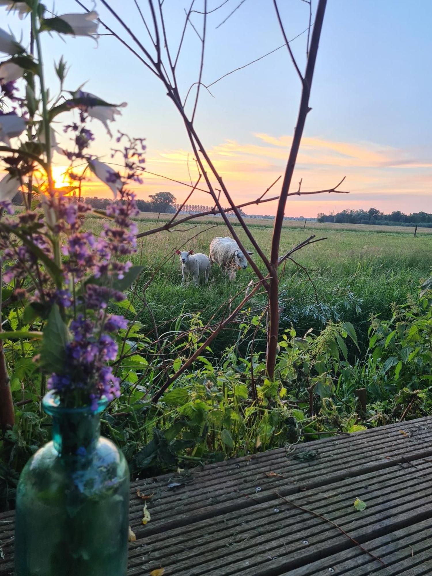 Cherry Cottage Schoonrewoerd Eksteriør billede